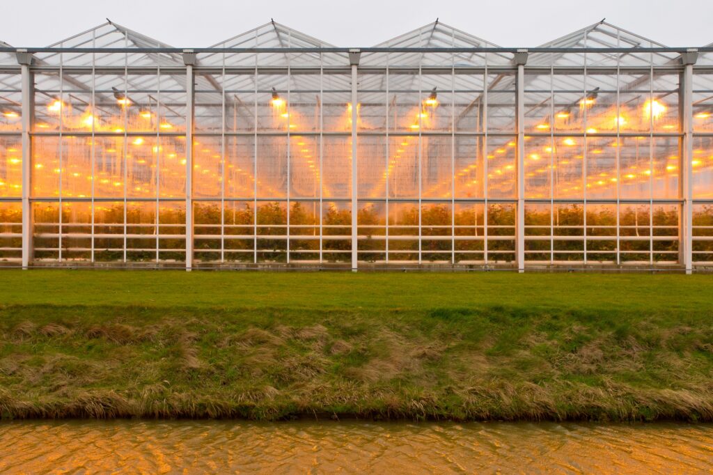 background commercial greenhouse